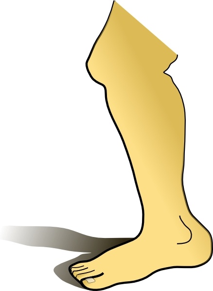 438x598 Pleasant Leg Clipart Cartoon