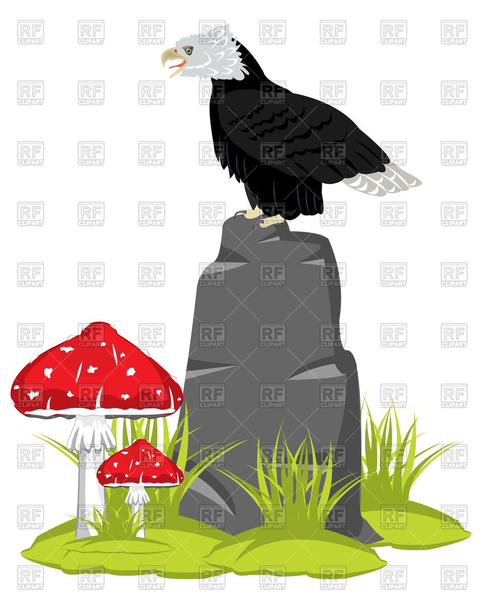 960x1200 Eagle On Stone And Mushrooms Fly Agarics Royalty Free Vector Clip