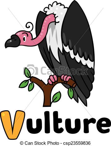 357x470 Funny Vulture, Illustration For Abc. Children Vector Vectors