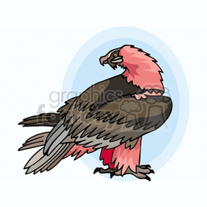 300x300 Royalty Free Pink And Brown Hawk 130454 Vector Clip Art Image