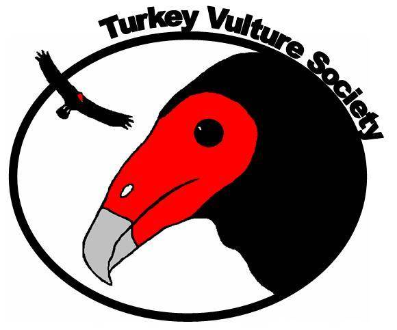 580x483 Turkey Vulture Society Informing About The Valuable