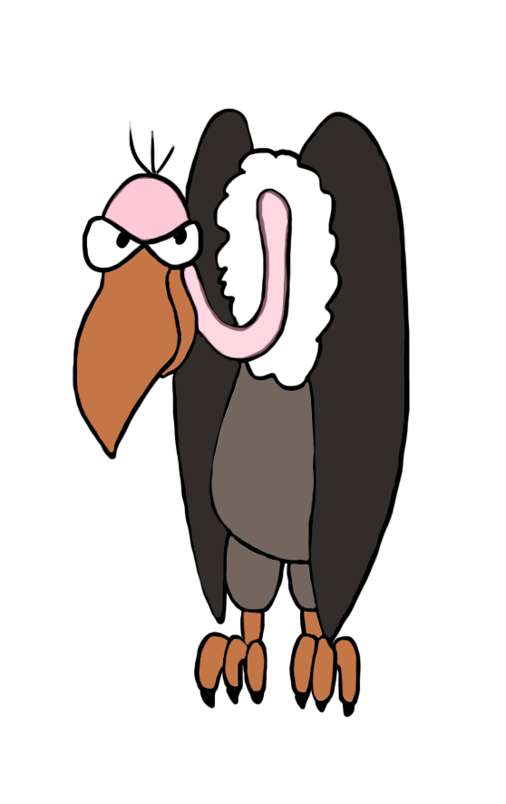 558x886 Vulture Clipart Png