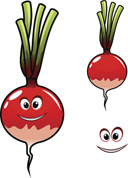 439x612 Radish Clipart