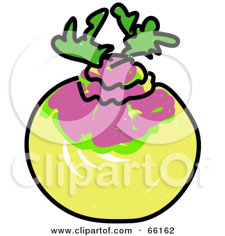 450x470 Royalty Free (Rf) Turnip Clipart, Illustrations, Vector Graphics