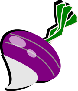 258x300 Turnip Clip Art