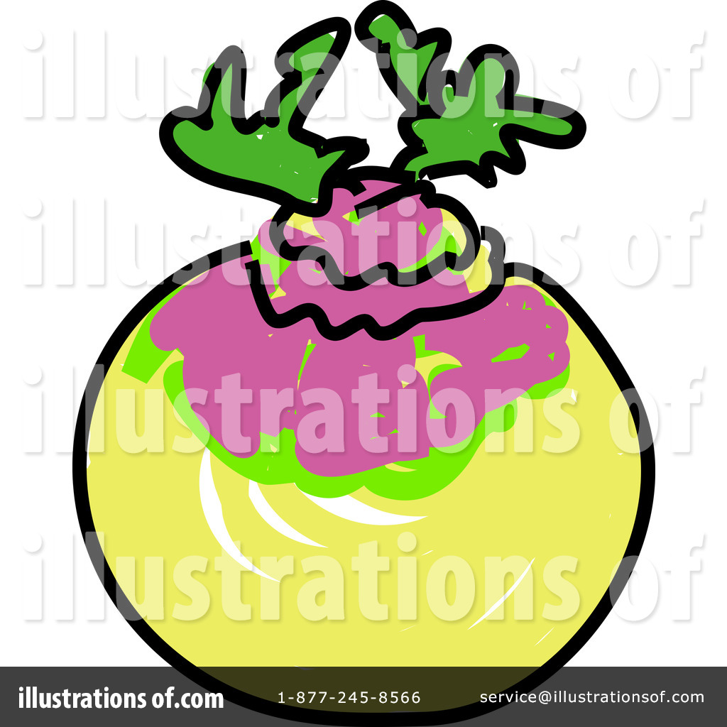 1024x1024 Turnip Clipart