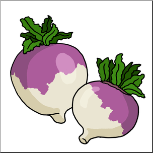 304x304 Turnip Clipart