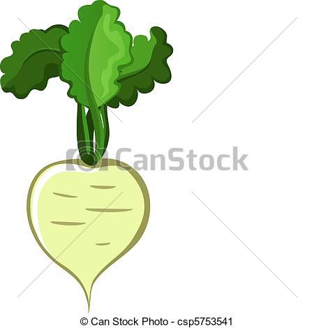 450x470 Turnip. Vegetable Vector Clip Art