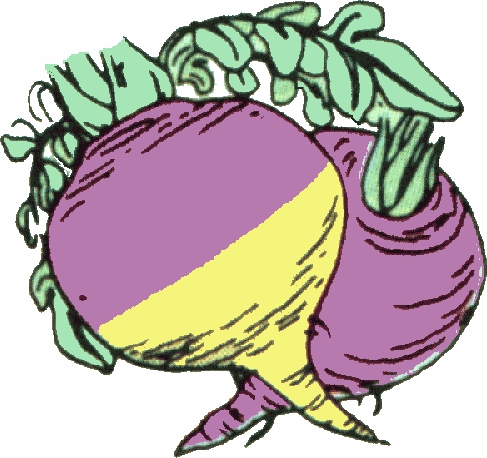487x458 Arthurs Vegetable Clipart