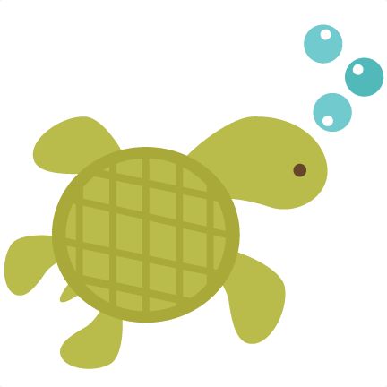 432x432 Collection Of Turtle Clipart Background High Quality, Free