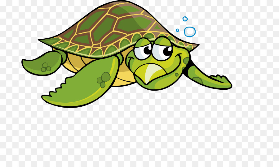 900x540 Sea Turtle Tortoise Cartoon Clip Art