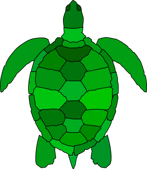 516x594 Turtle Clip Art Free Vector 4vector