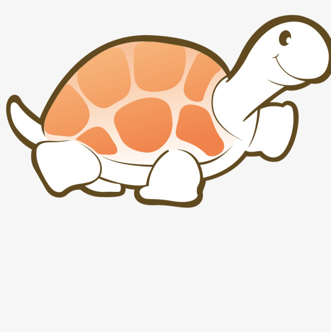 650x651 Animals Turtle, Tortoise, Shape, Art Png Image And Clipart