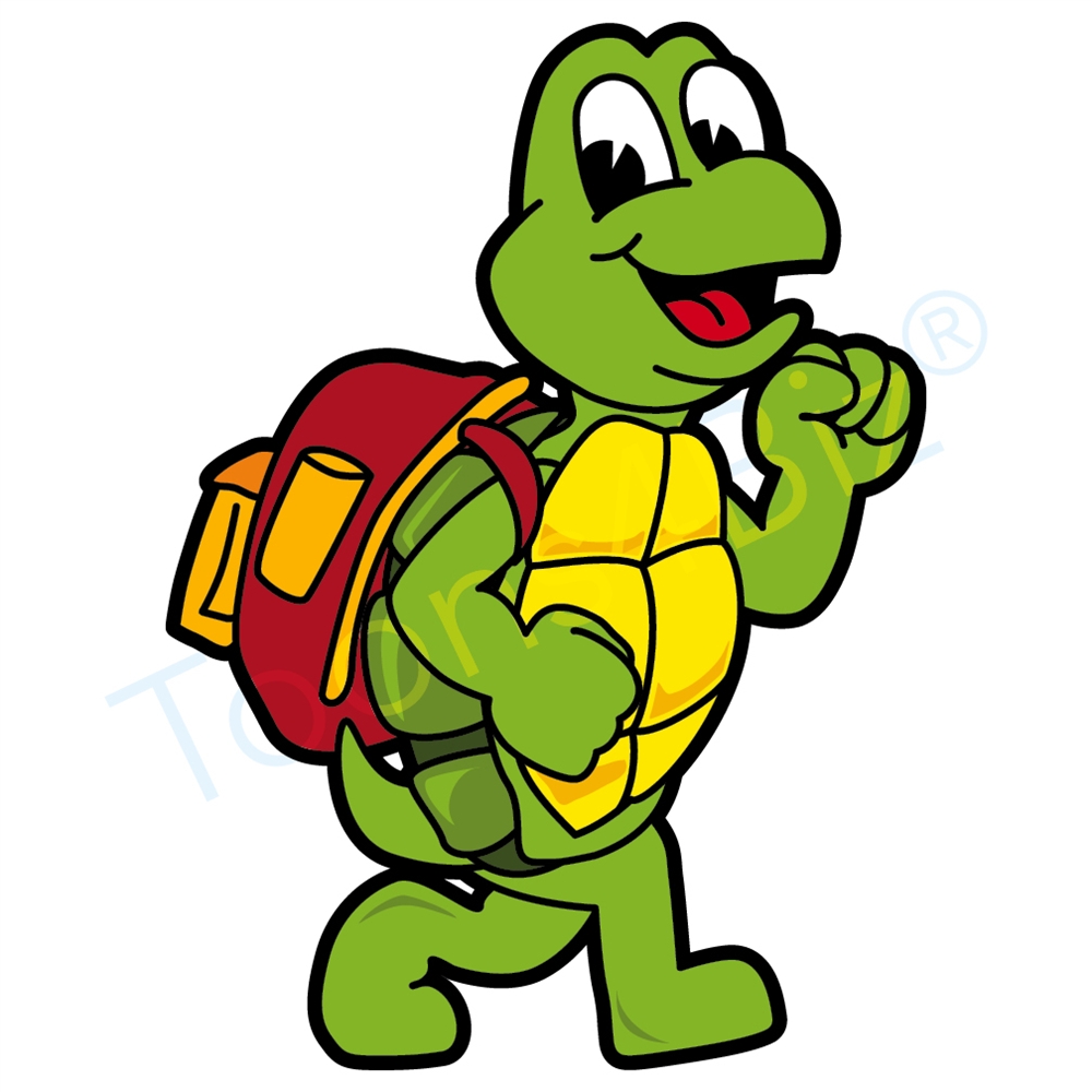 1000x1000 Turtle Clipart School 4017538