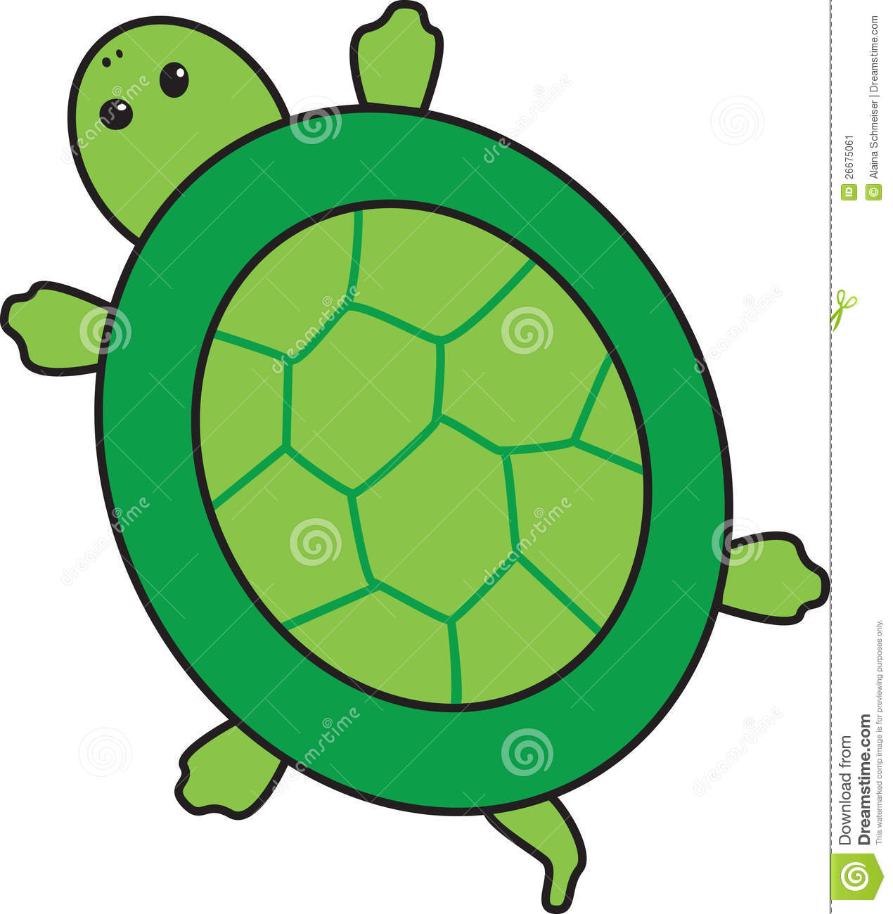 1270x1300 Turtle Shell Clip Art Free Collection Download And Share Turtle
