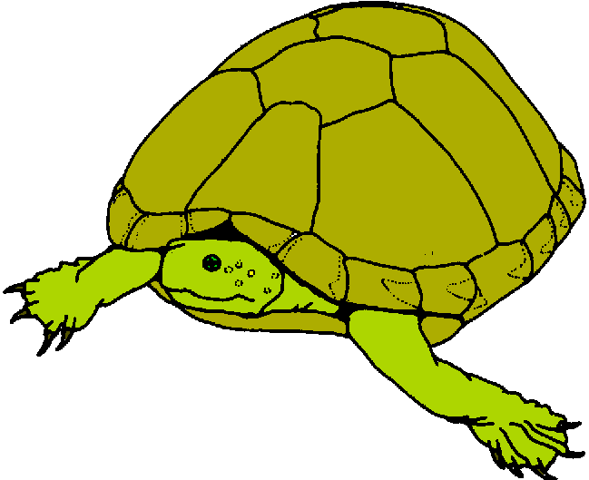649x529 Hawaiian Sea Turtle Clipart Free Clipart Images 4