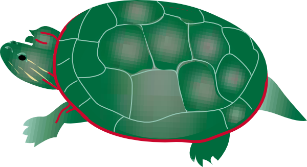 600x327 Painted Turtle Clip Art Free Vector 4vector