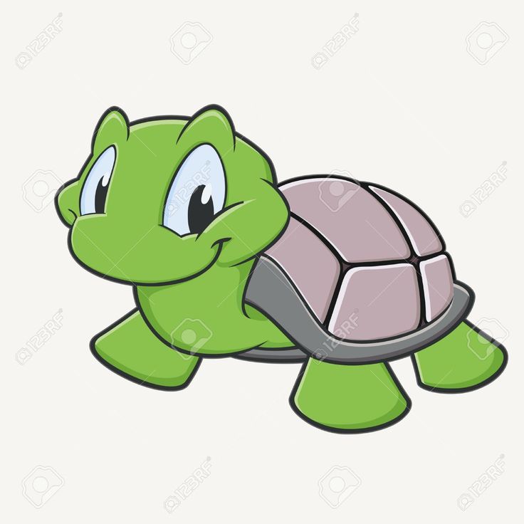 736x736 34 Best Turtles Images On Turtles, Drawings Of And My