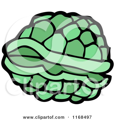 450x470 Royalty Free (Rf) Turtle Shell Clipart, Illustrations, Vector