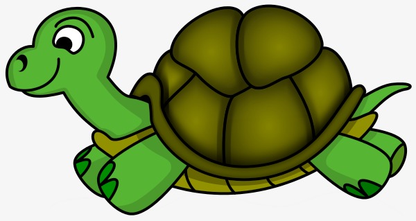 600x319 Tortoise, Amphibians, Sea Turtle, Shell Png Image And Clipart