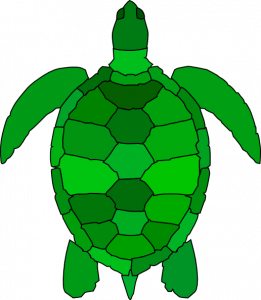 261x300 Turtle Shell Clipart Turtle Clip Art