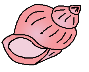 313x252 Sea Turtle Shell Clip Art Background Courtesy Of Kid'S