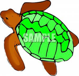 300x289 Clipart Image A Brown Turtle With A Green Shell
