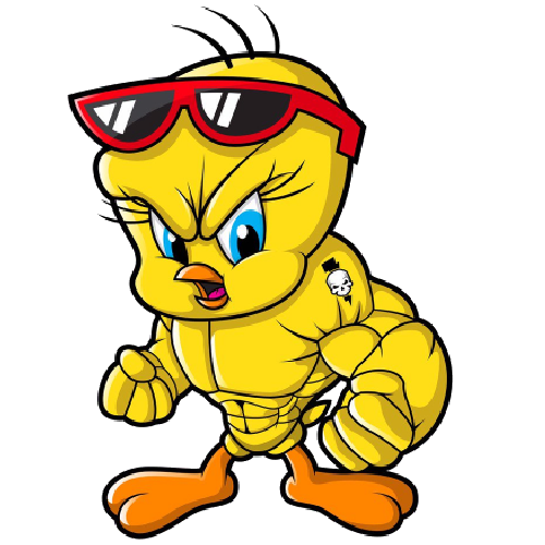 500x500 Tweety Pie