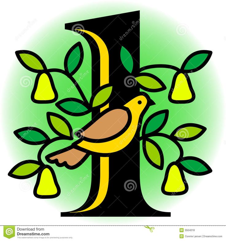 736x786 26 Best 12 Days Of Christmas Images On Pear Trees, 12