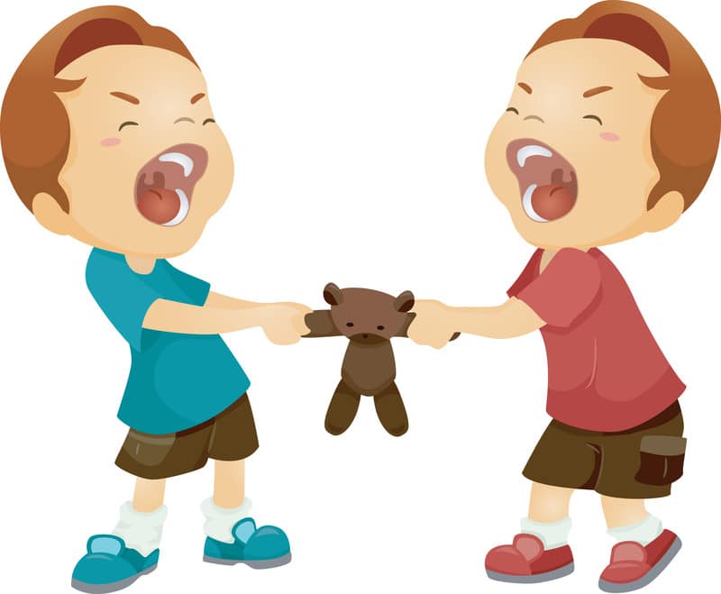 800x659 Keeping The Peace Between Twins Evenodd Days Iflg