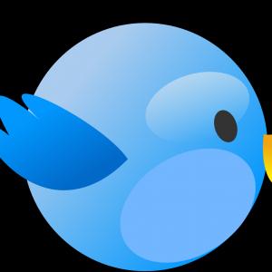 300x300 Stock Illustration Modern Blue Circle Twitter Bird Arenawp