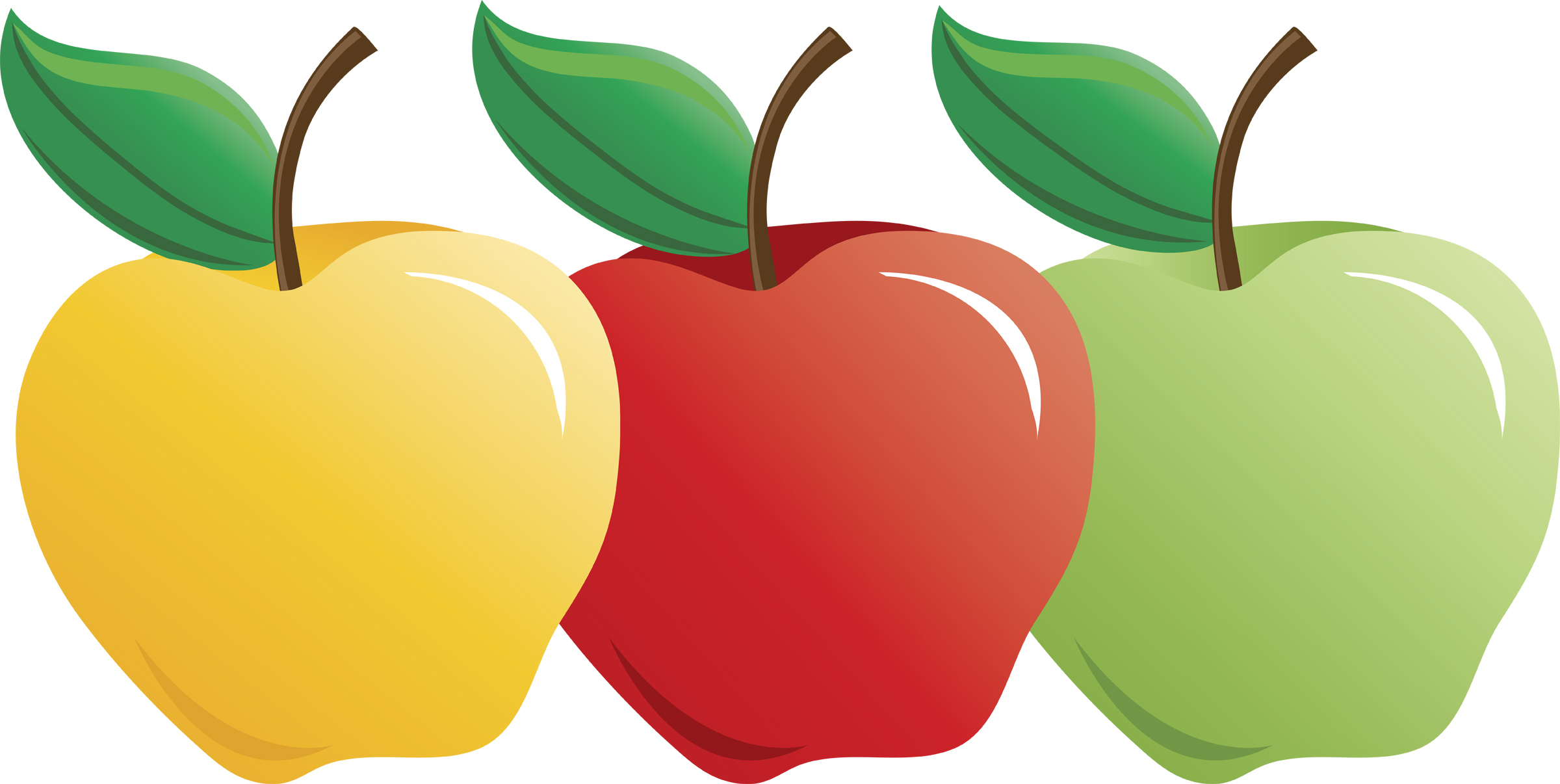 2400x1206 Clip Art Apple Types Clipart