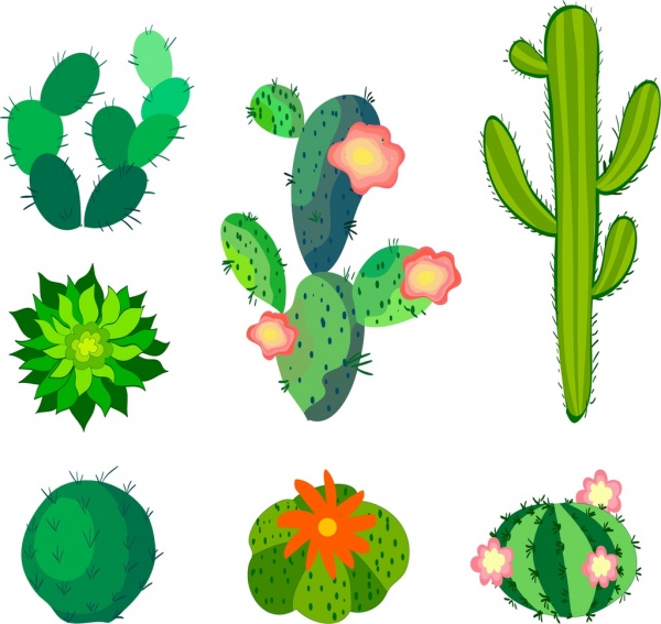 600x567 Stunning Decoration Types Of Clip Art Cactus Clipart Set Hand