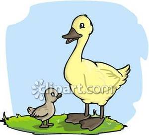 300x273 Ugly Duckling With Mom Clipart
