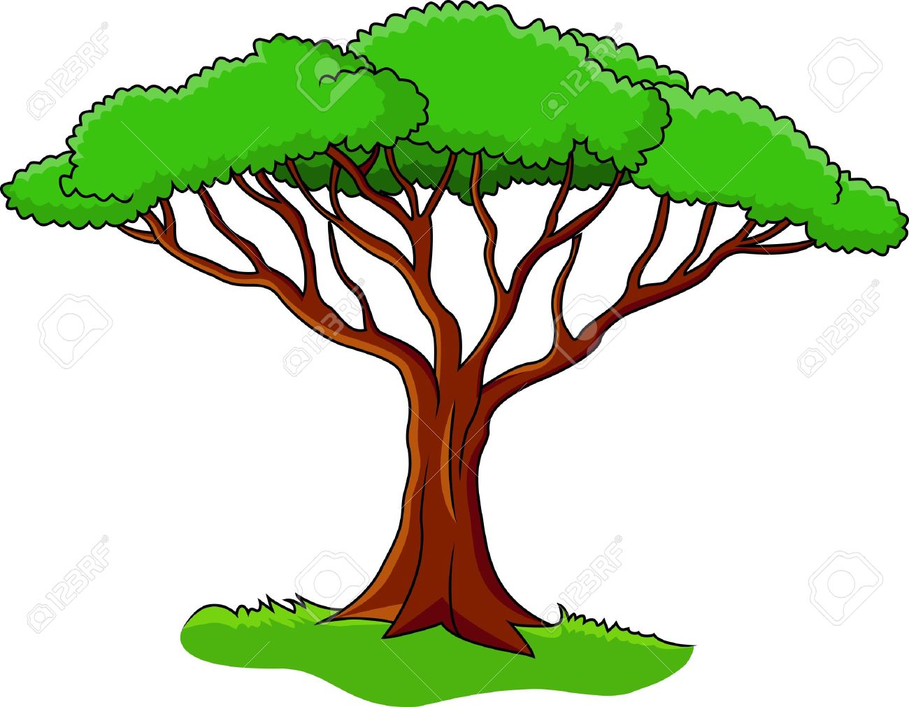1300x1011 Ultimate Cartoon Picture Of A Tree Stock Vector Illustration