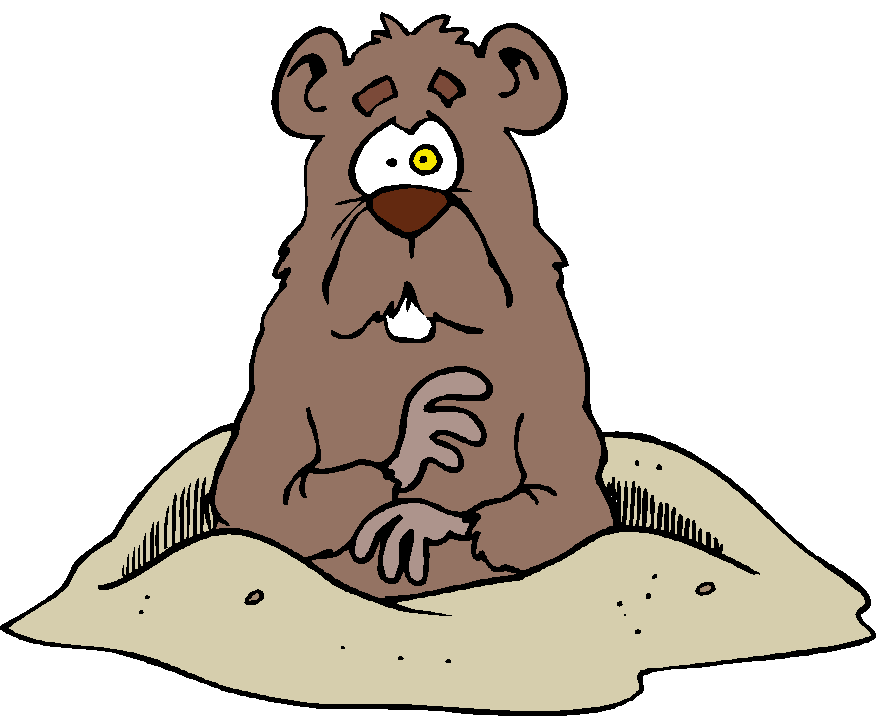 889x719 Announcing Groundhog Pictures Free Download Clip Art Sporturka