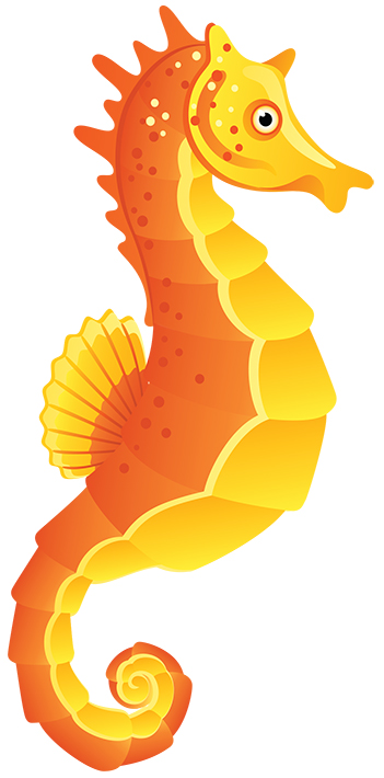 351x710 Seahorse Clipart Clip Art Sea Horse Image 5 Clipartix