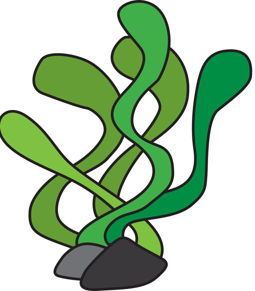 841x960 Pin By Margaret Butts On Vbs 2016