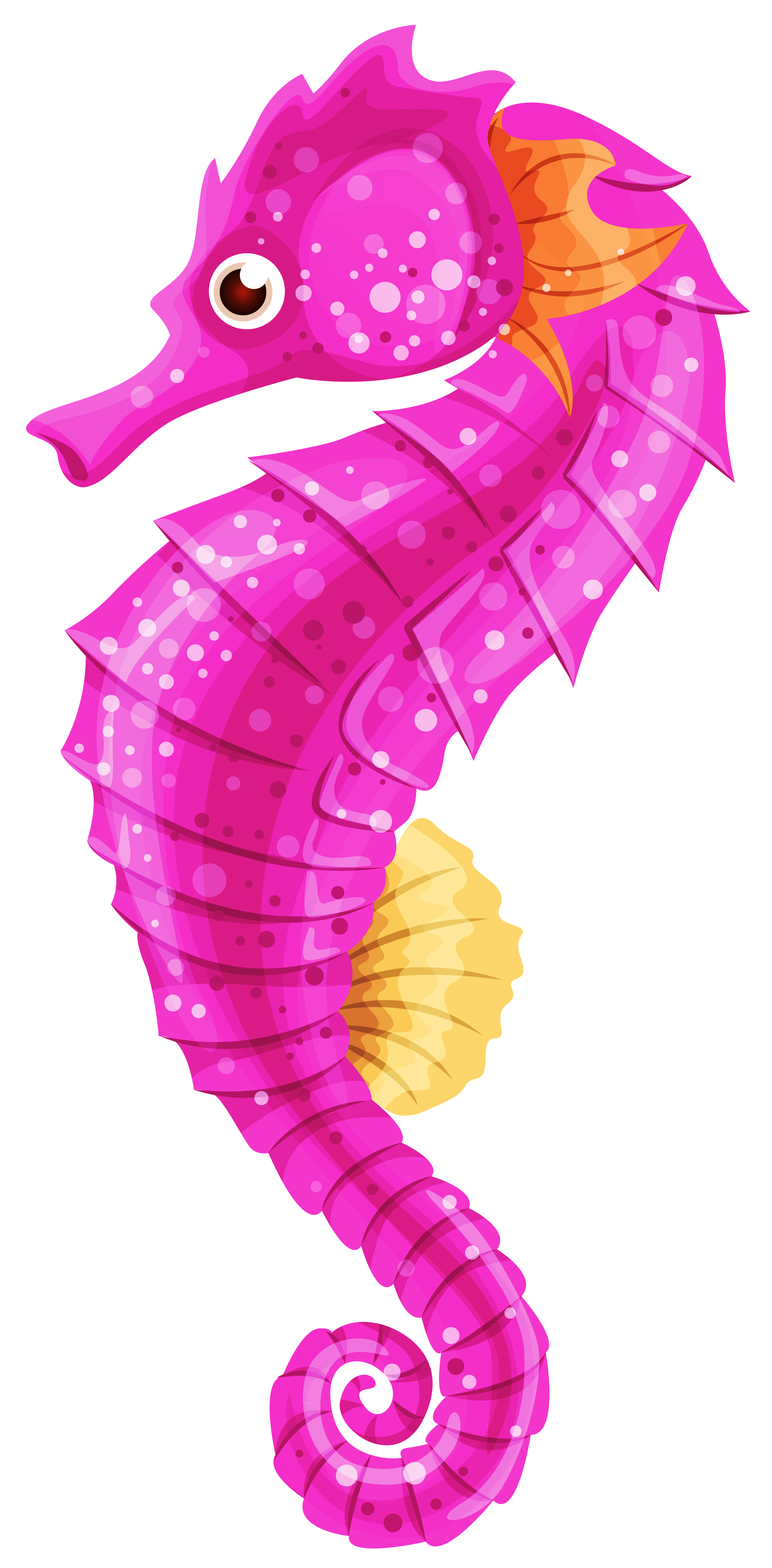 1896x3851 Seahorse Png Clip Art