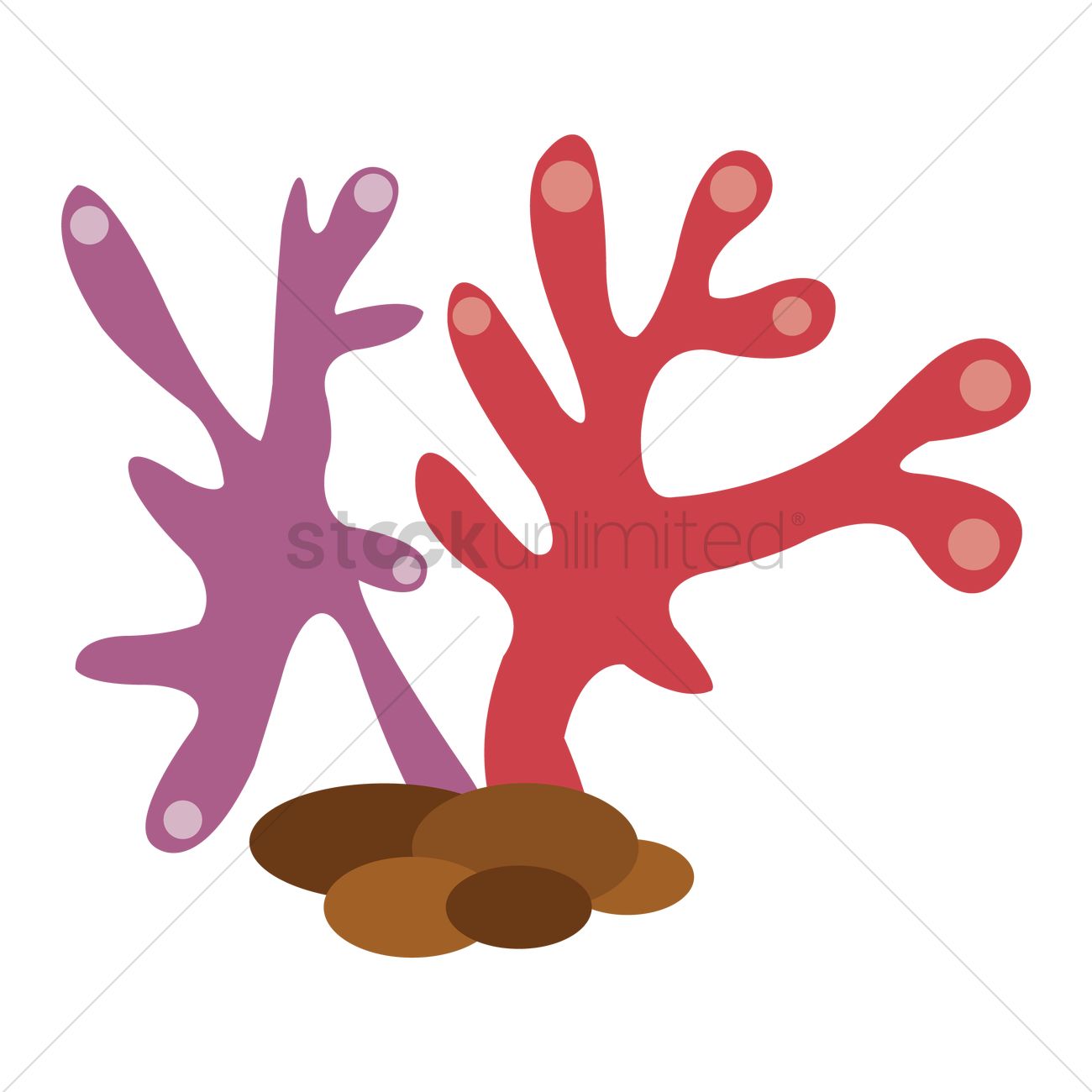 1300x1300 Aquatic Plants Vector Image