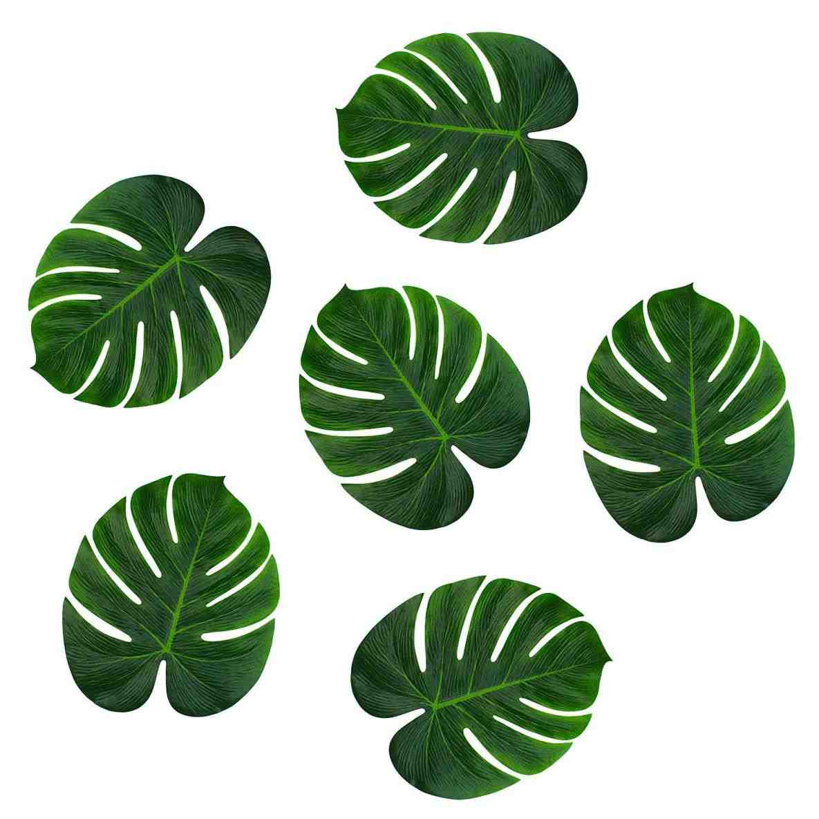 1185x1185 Jungle Plants Clipart Png