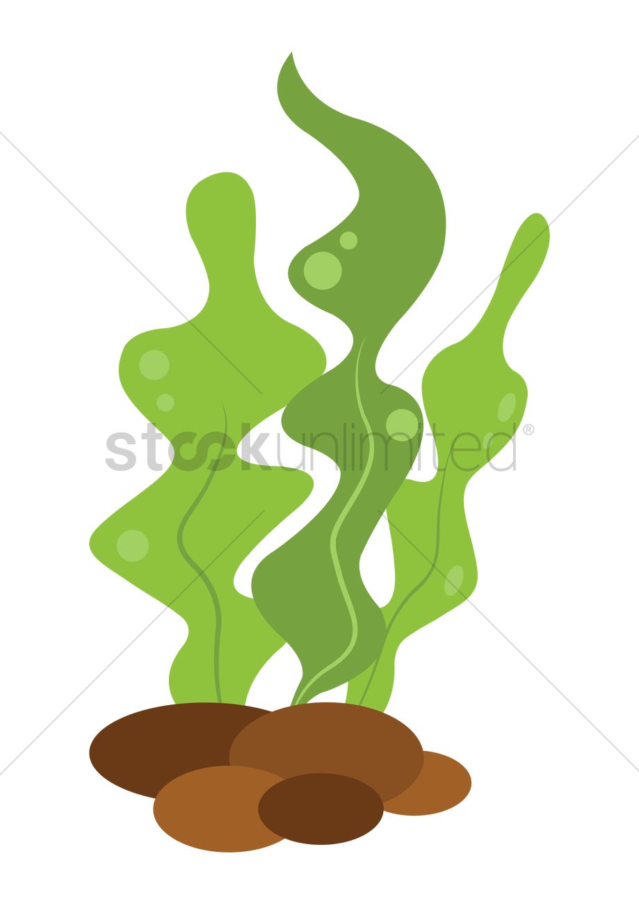 919x1300 Pebbles Clipart Aquatic Plant