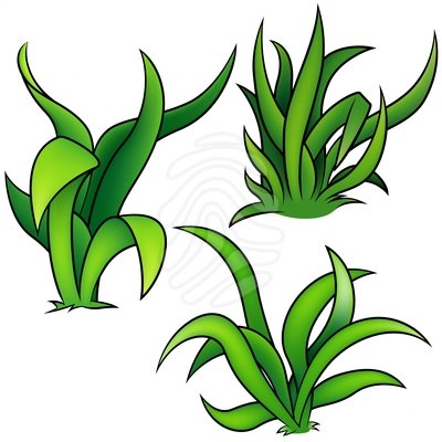 400x400 Sea Grass Clipart Underwater Free Collection Download And Share