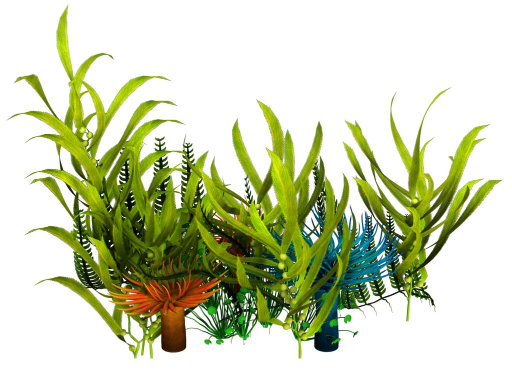 1024x745 Underwater Aquatic Plants Seaweed Clip Art