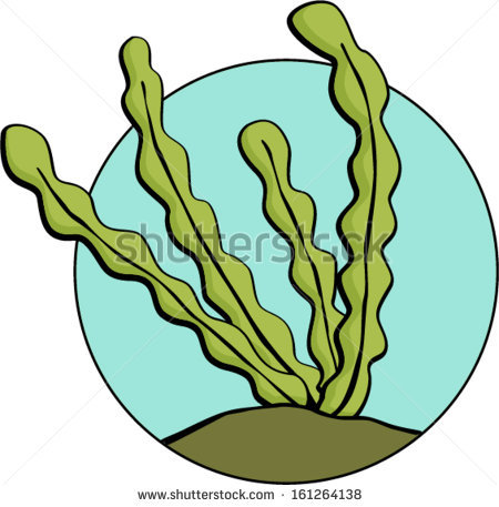 450x457 Weed Clipart Ocean Plant Free Collection Download And Share Weed