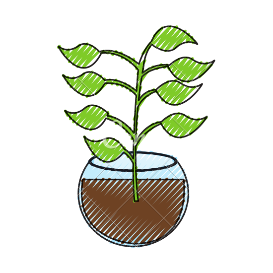 550x550 Aquarium Clipart Aquatic Plant