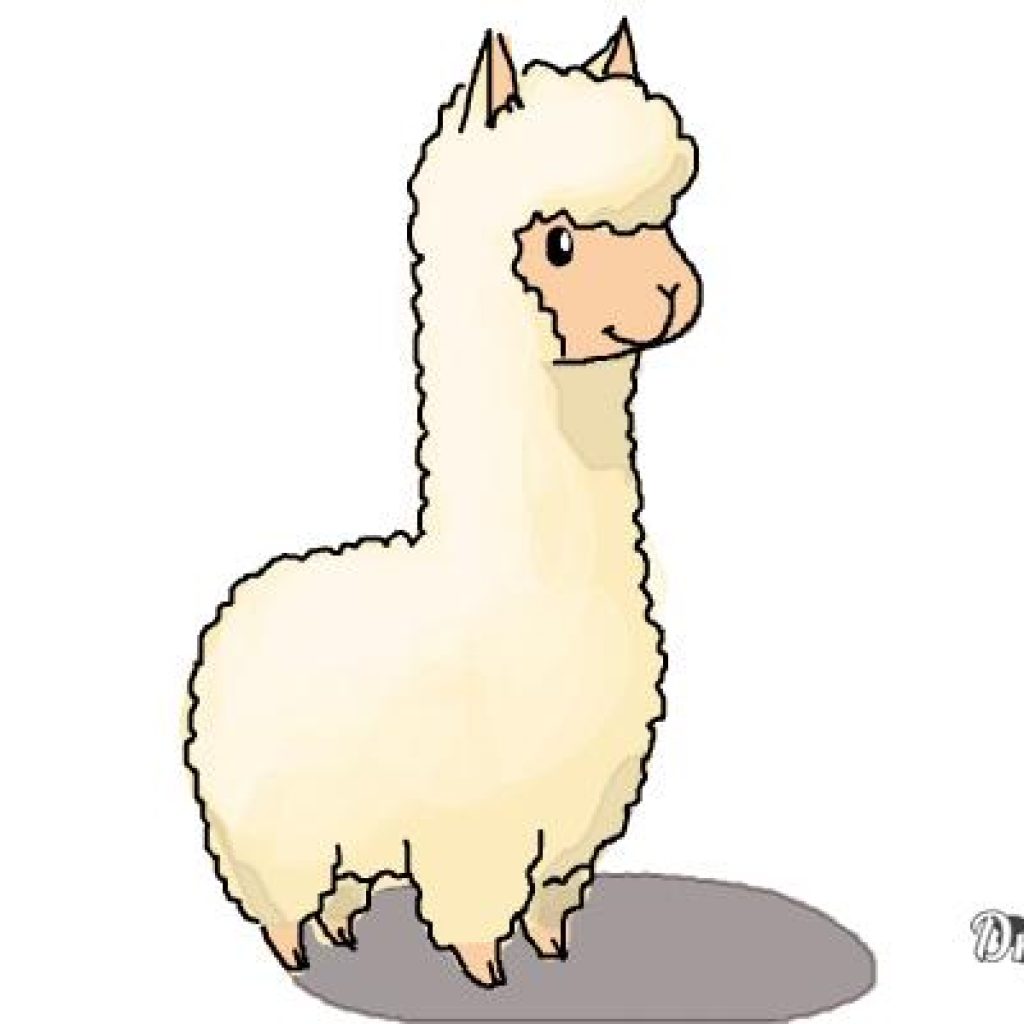 1024x1024 Cartoon Llama Pictures Question Mark Clipart