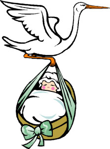 223x300 Stork Clipart Surrogacy