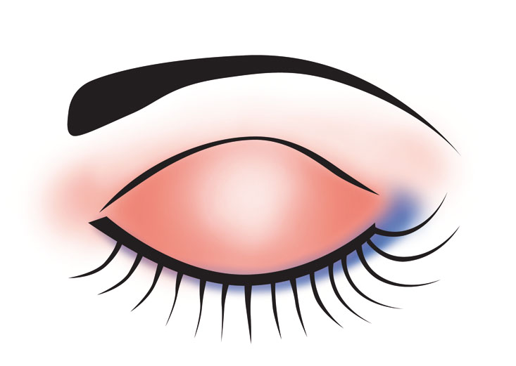 733x521 Makeup Clip Art Hostted