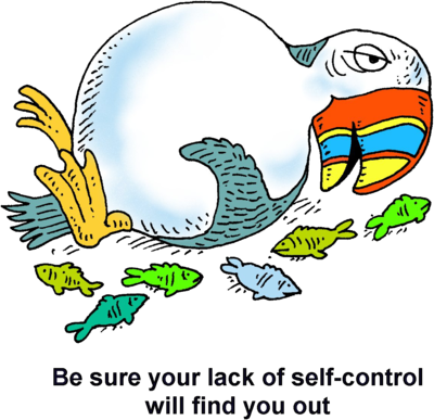 400x387 Image Stuffed Puffin